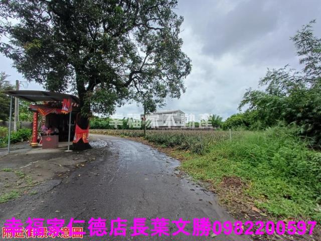 歸仁農地-12