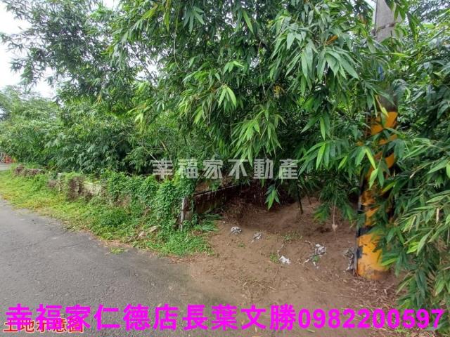 歸仁農地-6