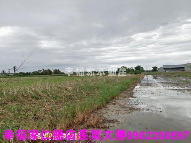 台南安定農地-13