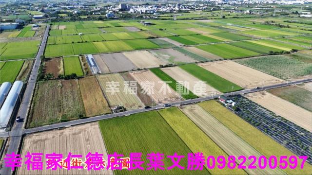 台南佳里農地-9