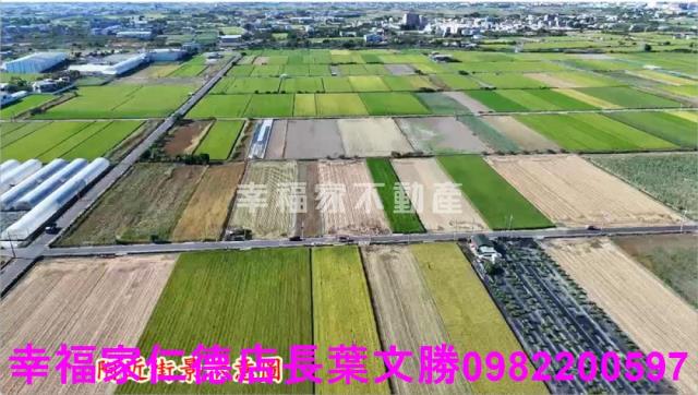台南佳里農地-10