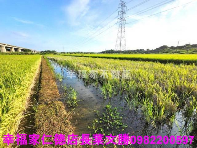 台南農地-2