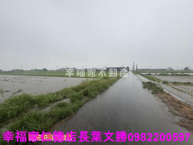 台南西港農地-10
