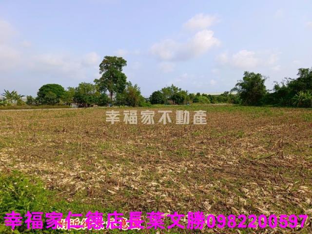 安定農地-2