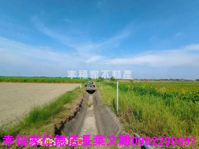 將軍農地-11