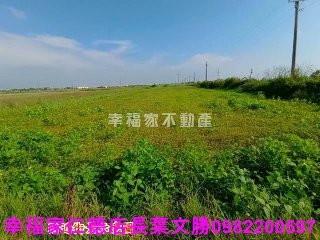 將軍農地-3
