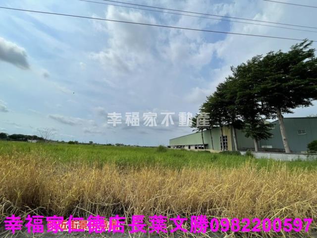 台南農地-8