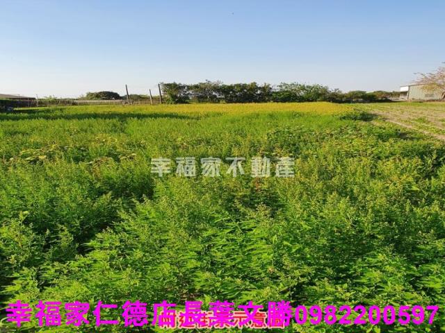 台南善化農地-14