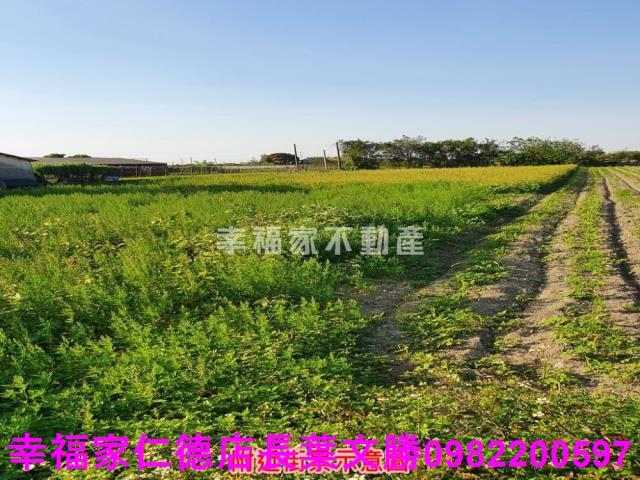 台南安南農地-6