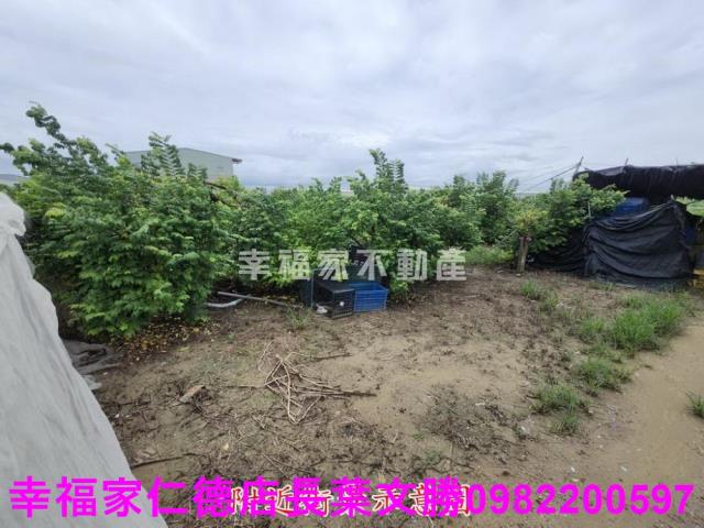 台南山上農地-13