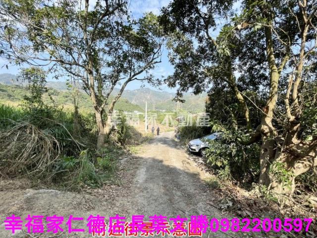 台南農地-4