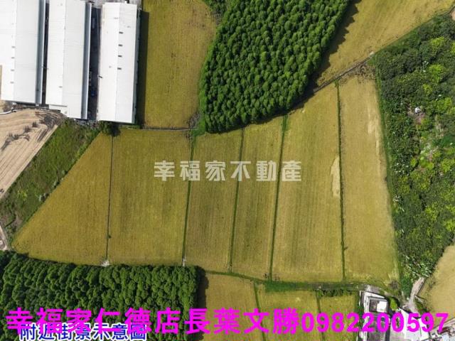 烏日農地-10