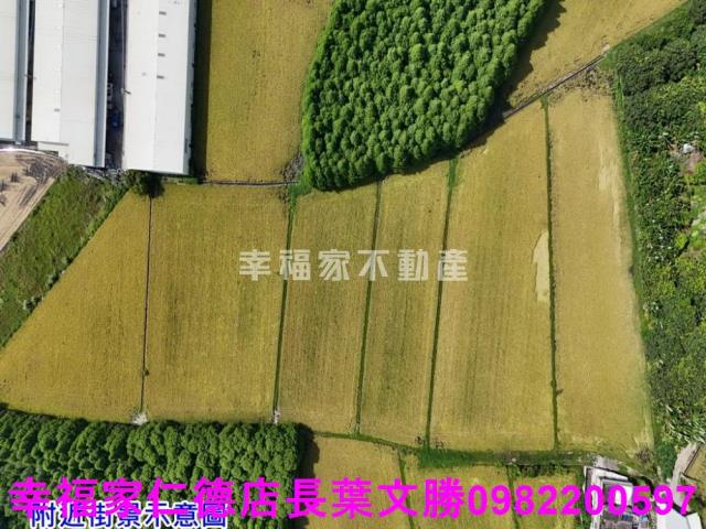 烏日農地-3