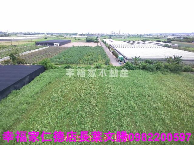 台南新市農地-7