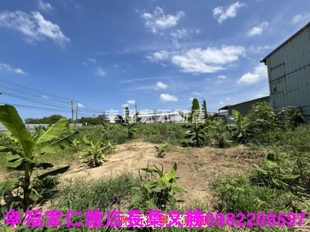 仁德農地-13