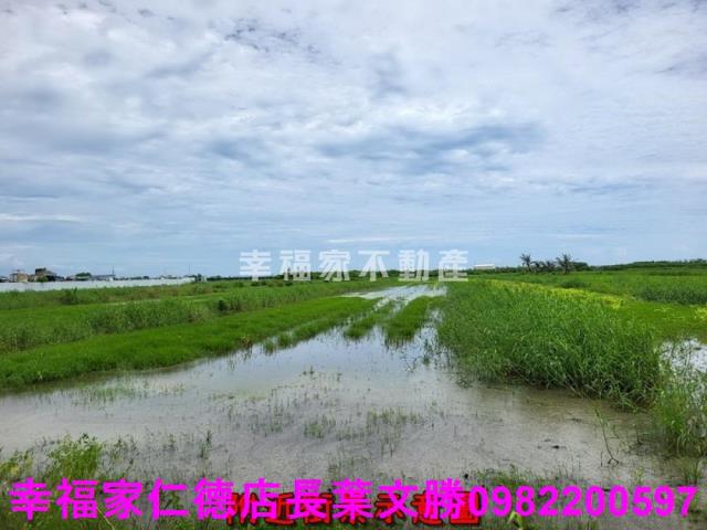 七股農地-14