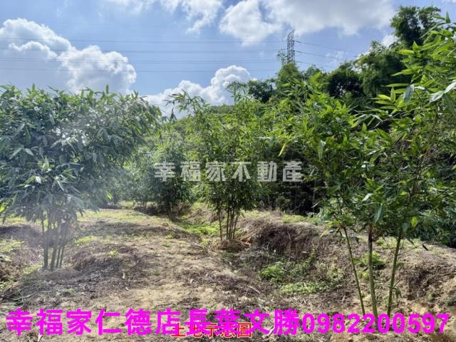 台南關廟農地-11