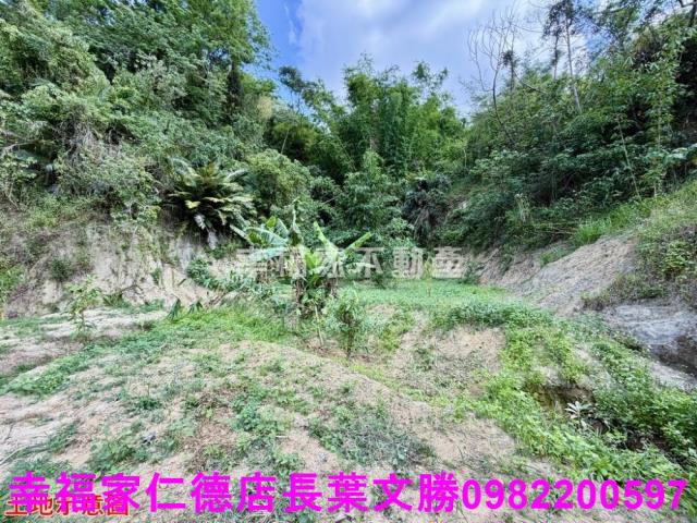 台南關廟農地-13