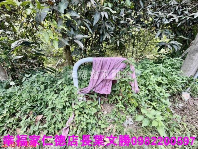 台南關廟農地-8