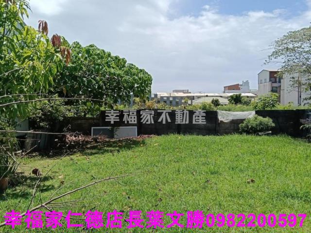 台南仁德農地-0