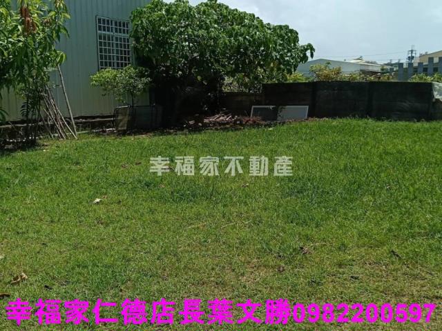 台南仁德農地-25