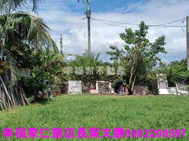台南仁德農地-1