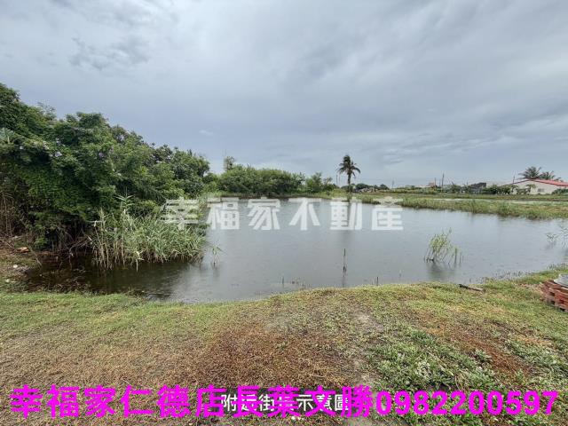安南農地-6