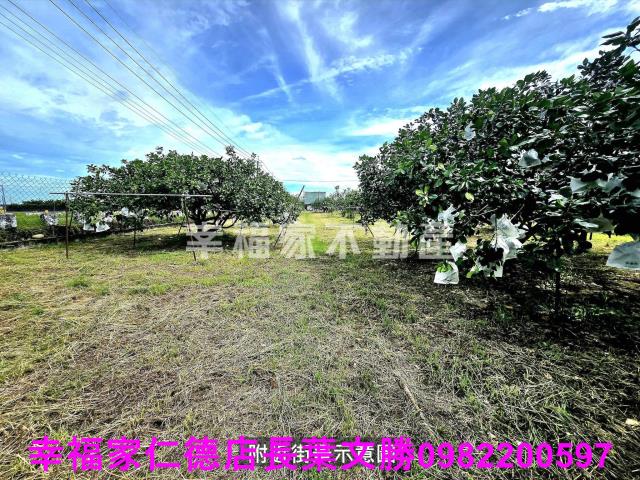 下營農地-8