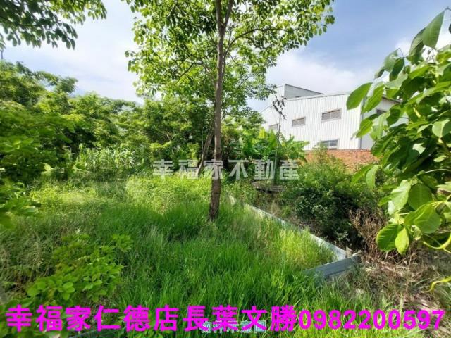 仁德工業地-12