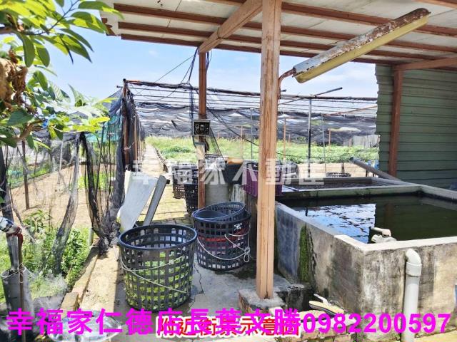 南區農地-9