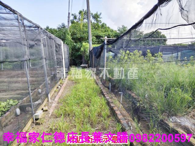 南區農地-13