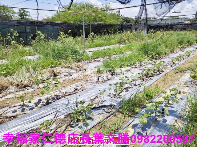 南區農地-1