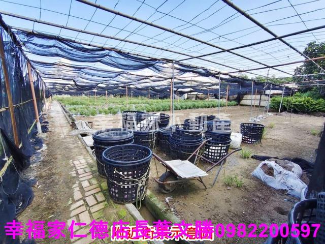 南區農地-2
