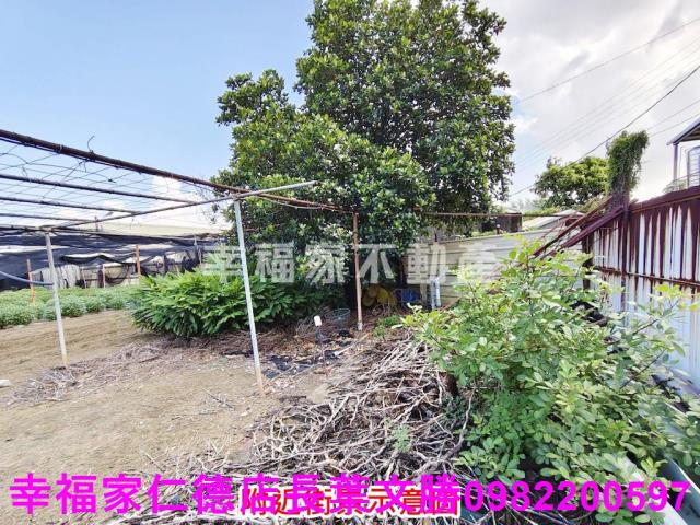 南區農地-3