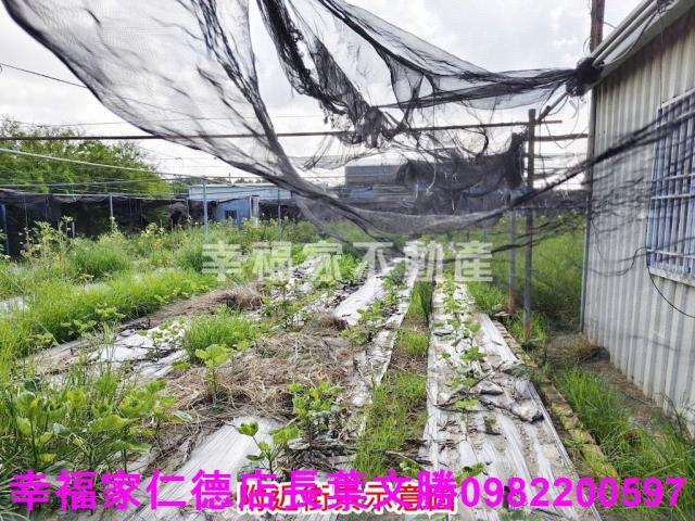 南區農地-6