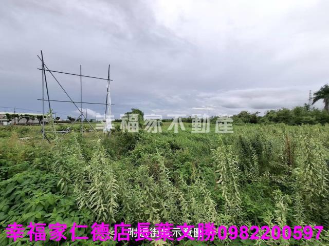 學甲農地-7