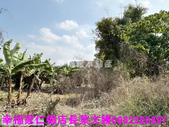 玉井工業地-11