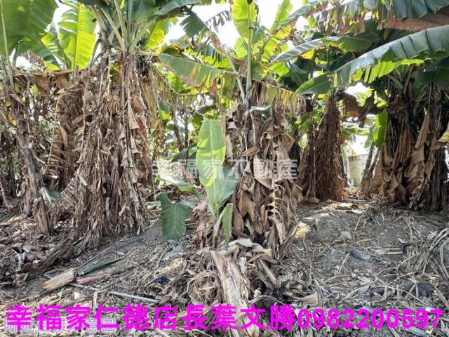 玉井工業地-6
