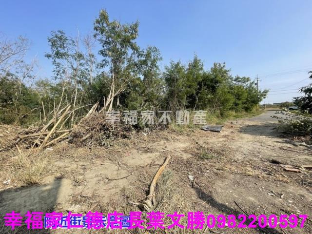 學甲工業地-14