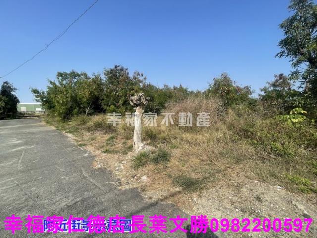 學甲工業地-6