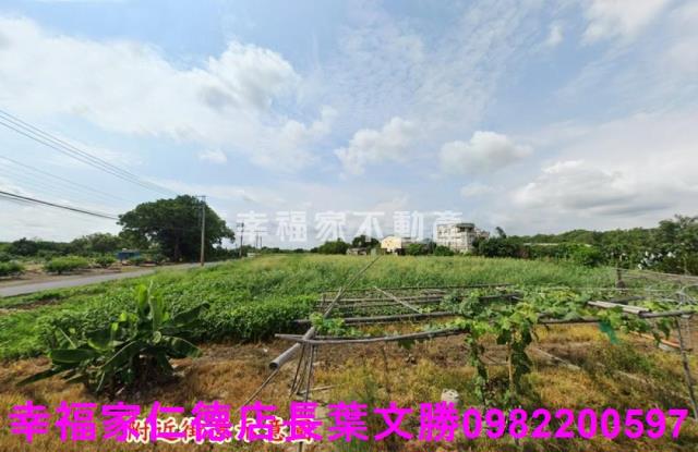 善化農地-10