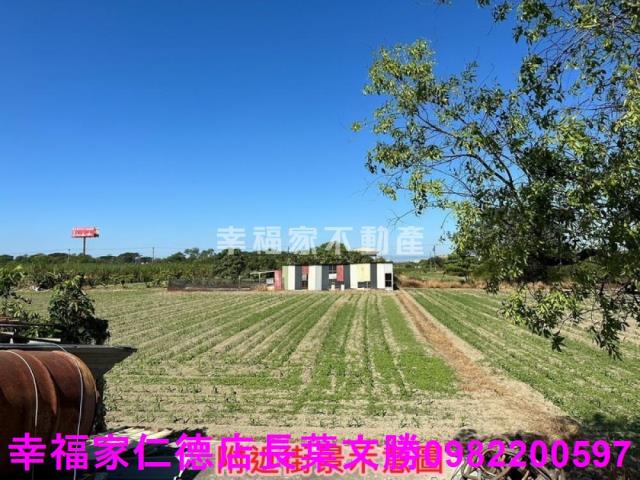安定農地-7