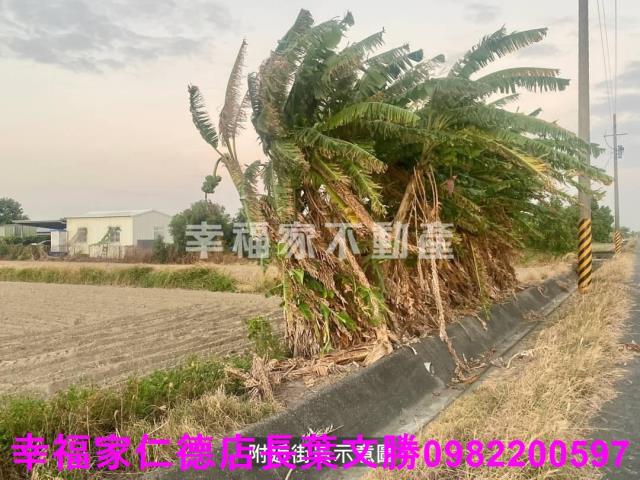 台南七股農地-11