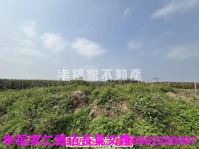 鹽水農地-9