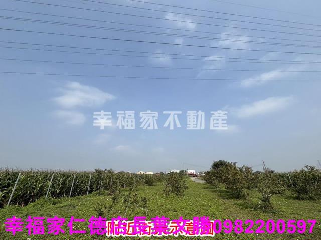 鹽水農地-10