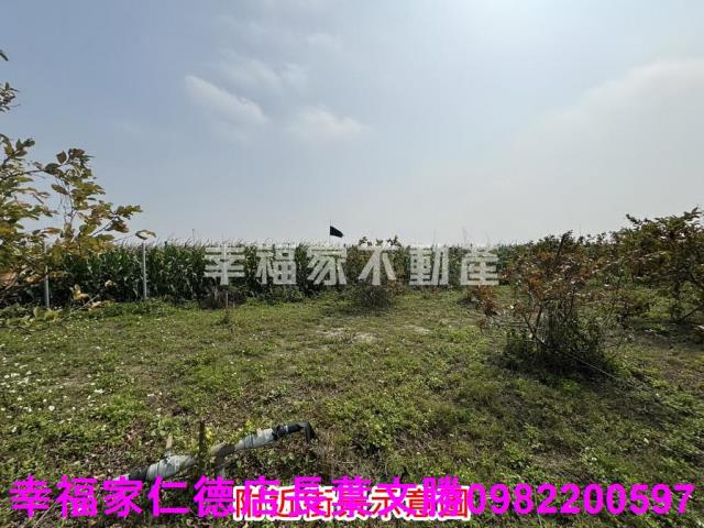 鹽水農地-11