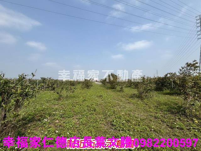 鹽水農地-0