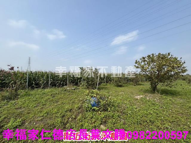 鹽水農地-1