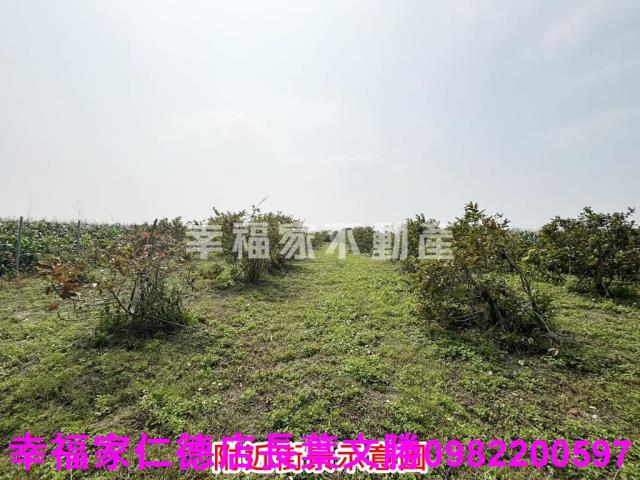 鹽水農地-4