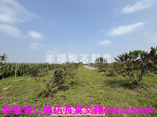 鹽水農地-6